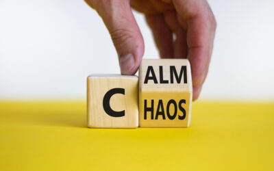 Transform Your Business From Chaos to Calm