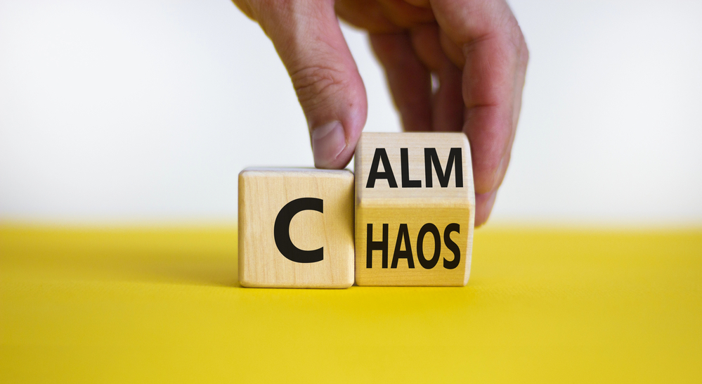 Transform Your Business From Chaos to Calm